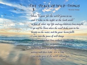 Poem in calligraphy - The Peace of Wild Things by Wendell Berry