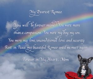 Pet memorial in calligraphy with dog's photo superimposed under the rainbow bridge