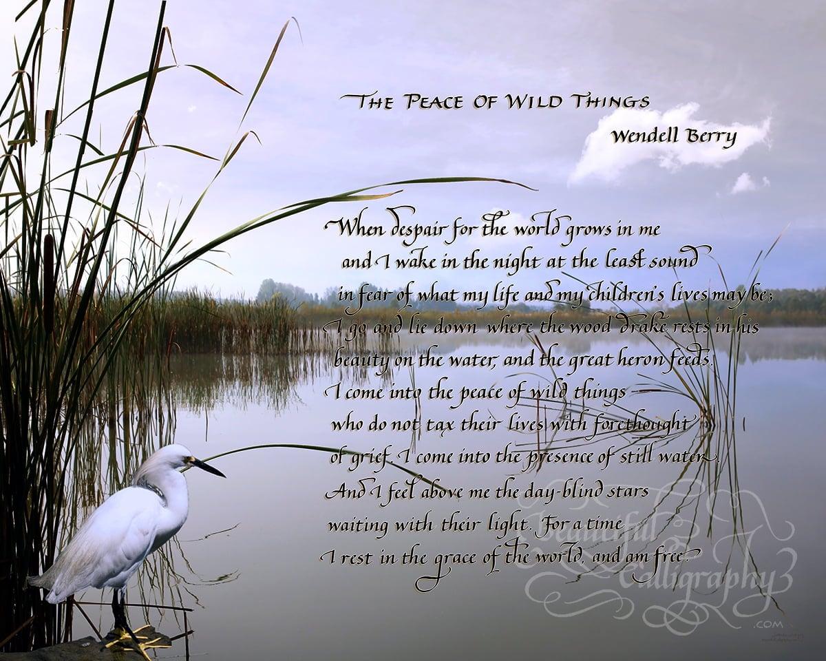 The Peace of Wild Things poem, by Wendell Berry