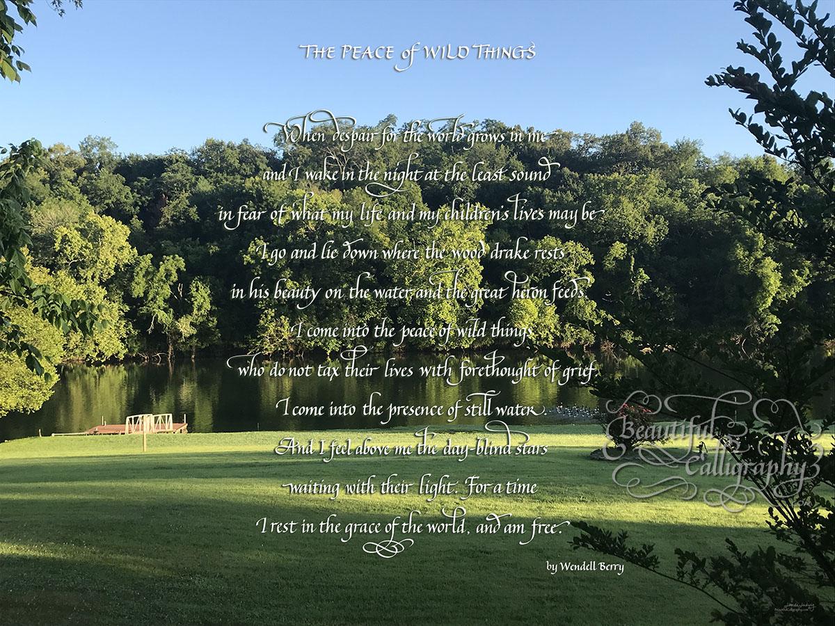 Inspirational poem with custom background, peace of wild things